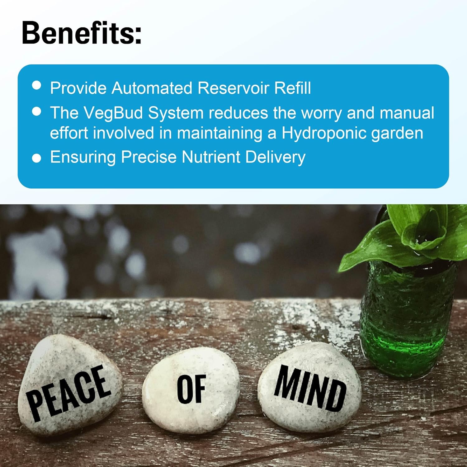 Veg, Bud, Fruit Hydro WiFi Controller DIY Kit - Robust, Customizable Power-Monitoring Nutrient Delivery System for Hydroponics (Pump Sensors Sold Separately) Veg, Bud, Fruit Hydro WiFi Controller DIY Kit - Robust, Customizable Power-Monitoring Nutrient Delivery System for Hydroponics (Pump Sensors Sold Separately)